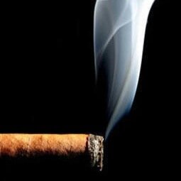CigarsLifestyle's profile picture. Cigars signify a camaraderie, a bond that brings people together under a shared vice. High quality cigars are everything. A twitter account for cigar lovers.