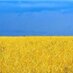 Roman Korolenko (@pravomaster) Twitter profile photo Roman Korolenko (@pravomaster) Twitter profile photo