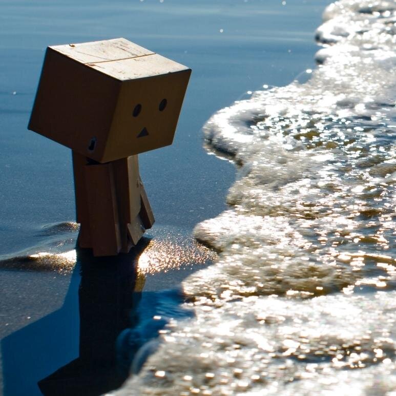 RobotSummer's profile picture. 