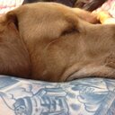 Mark McCormick - @23mccormick - Twitter