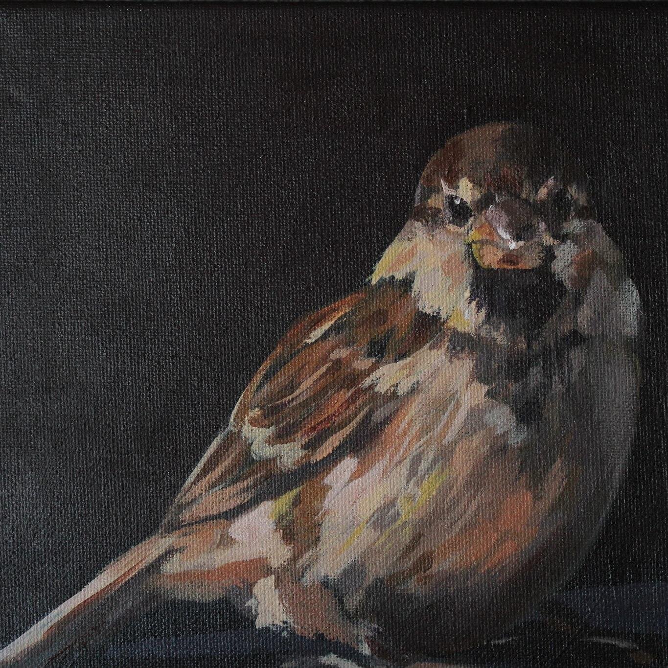 MJStoove's profile picture. 