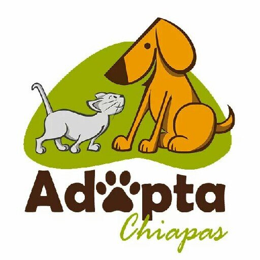 Promoviendo el beneficio de la adopción