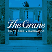 CraneBarbados Profile Picture