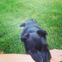 Isaac Wright - @Isaac_wright20 - Twitter