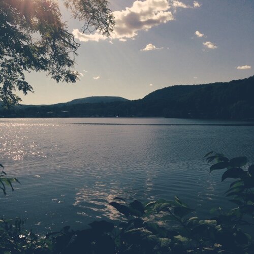 CJStark's profile picture. This is not a bio.