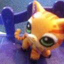 brooke andersen  - @brookekateande1 - Twitter