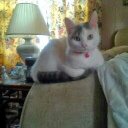 Michelle Hollenback - @MhShell69 - Twitter