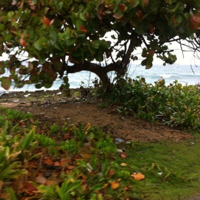 AlmaAmpudia's profile picture. 