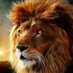 Mitchel Schipper ツ (@mitchelschipper) Twitter profile photo