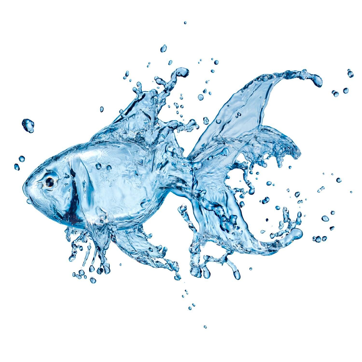 Splash Digital is a full service marketing and advertising firm who has been delivering nothing but the best service to our clients since 2009.
