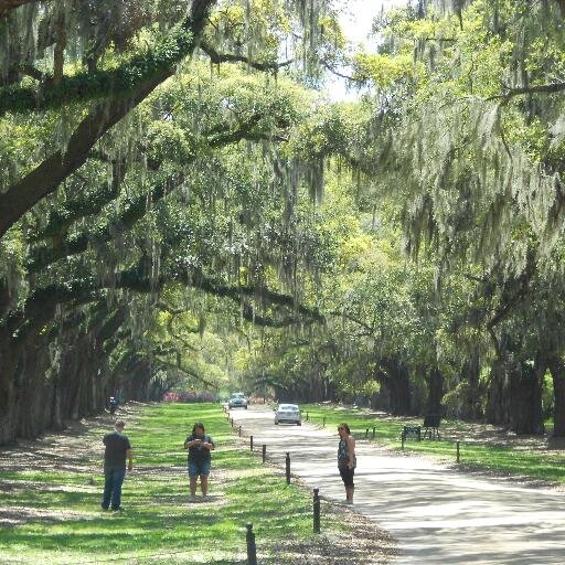 MrsPhillips1998's profile picture. 