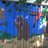 sabbott_abbott's profile image
