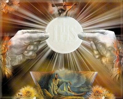 Contador Publico, Ministro Extraordinario de la Sagrada Comunión, Agente Pastoral De Espiritualidad Carmelitana y Emausiano.
