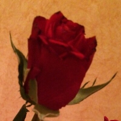 وبذكرك ربي أتنفس وأرى الحياة بربيع ألوانها~
لا إله إلا أنت سبحانك إني كنت من الظالمين