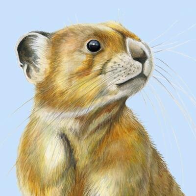 Tweet #ProjectPika to protect pikas from global warming. You tweet, we donate. Bitcoins for a Better Planet with PikaPay. http://t.co/PttU3pN478