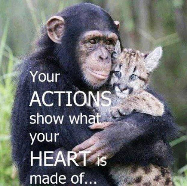 Sharing e-petitions daily for online campaigners :) Supporter of @IanSomerhalder & @IS_Foundation Feel free to follow my personal account too @extermi_skate