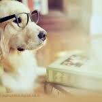 soy directioner y estudio lic en psicologia