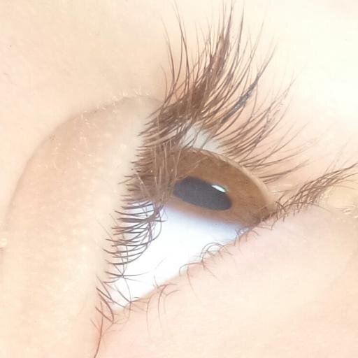 YoyoLooool's profile picture. Hi Ya'll Fellas