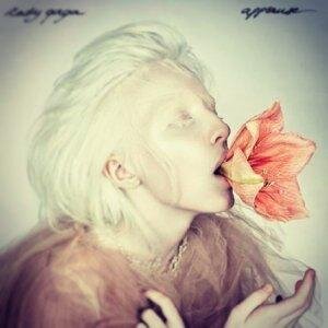 “Well, that's your opinion, isn't it? And I'm not about to waste my time trying to change it.” 
― Lady Gaga