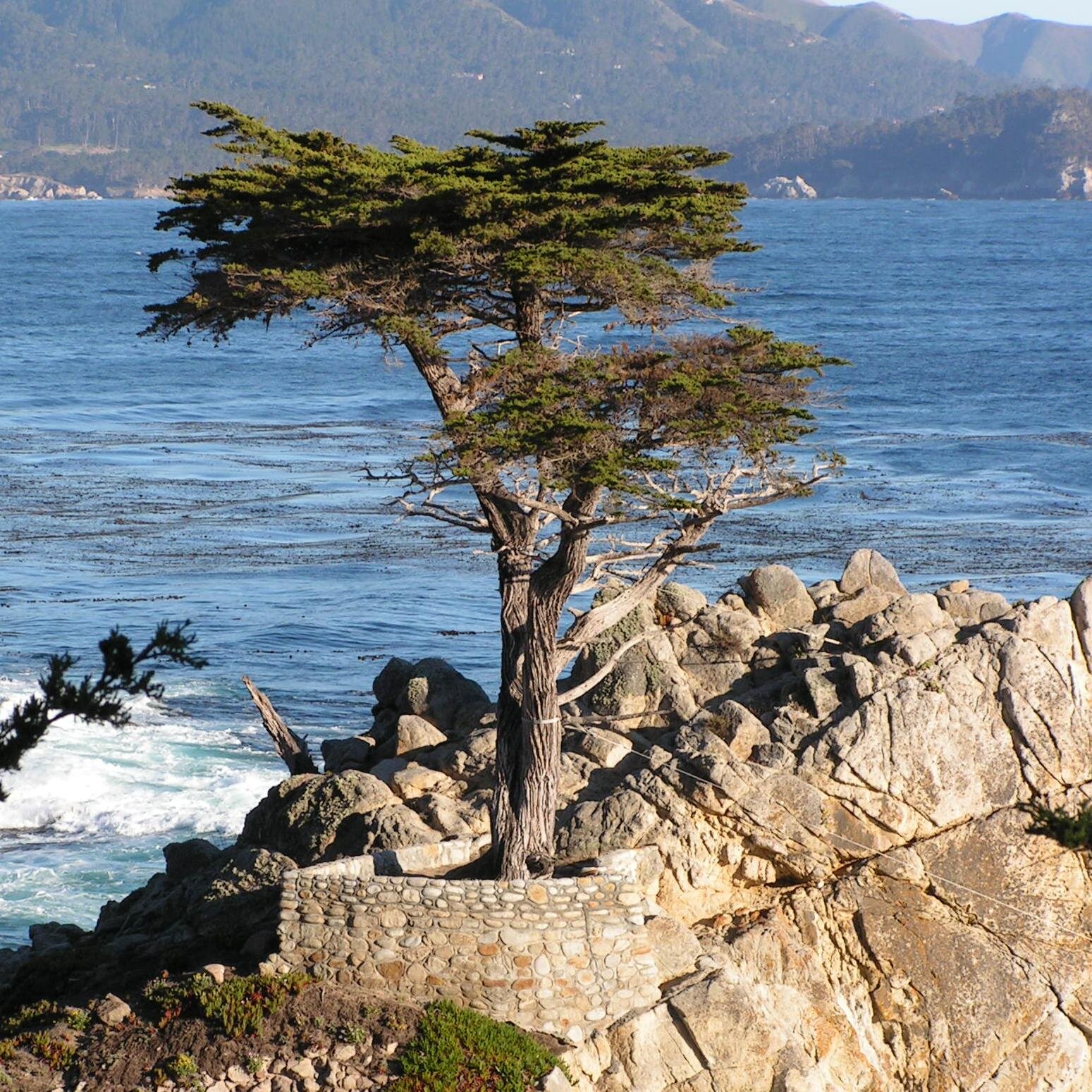 Elaina_James's profile picture. Writer, lyricist & jewellery maker. Katie Fforde Bursary 2019. RNA NWS member. @SWWJ member. 
https://t.co/dbiQbc7VBO