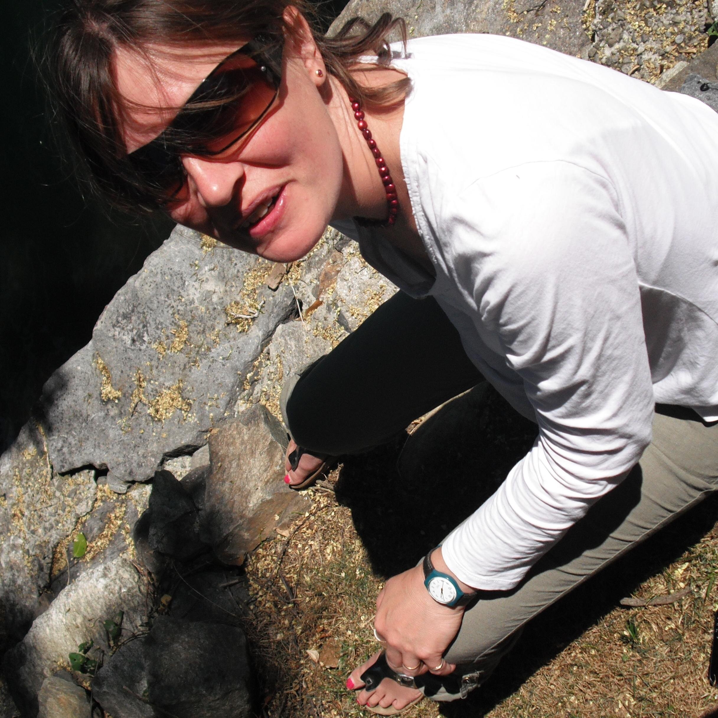 alice1ent's profile picture. Writer