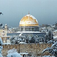 ريهام (@reham_020) 's Twitter Profile