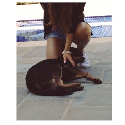 ♡ 1/4 of the grande pups' ♡