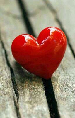 I am love allah~~ / I bear witness that there is no god except Allah and I bear witness that Muhammad SAW is his servant and messenger .