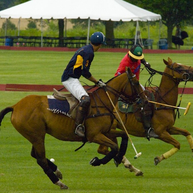 ThePoloClassic's profile picture. 