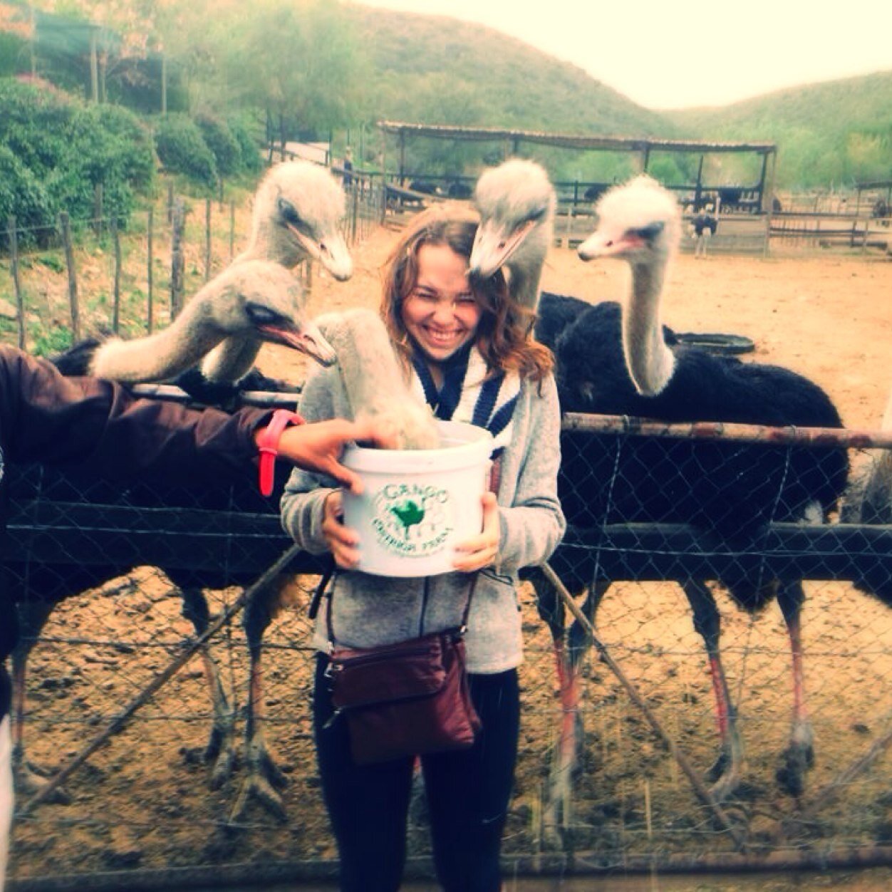 hrmeyer_'s profile picture. First of all, my parents live in ohio. I live in the moment.