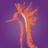 CBHHotel's profile image