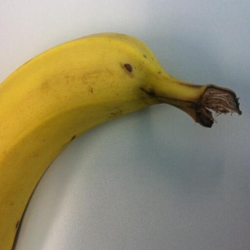 PimdeJoode's profile picture. Meestal iets beters te doen.