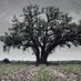 True Detective (@trueedetective) Twitter profile photo True Detective (@trueedetective) Twitter profile photo