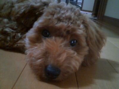 3260mitsu_f's profile picture. 