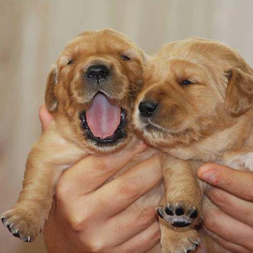 miraeee1's profile picture. Takip Edeni Mutlaka Takip Ederim Geri Dönüşümü Olur... 
TAKİP EDİN BEN YOLU BİLİYORUM... :D