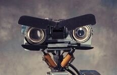 NewtonCrosbyPhD's profile picture. 