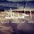 soes_sul's profile image