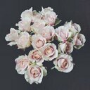 Horyah ,❋ (@22_ajml) Twitter