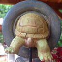 Sandy Neely - @sasssysandy - Twitter