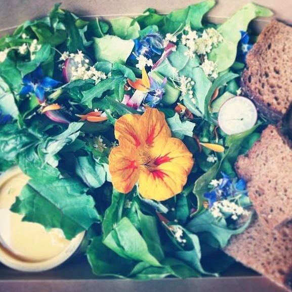 bloomboxsalads's profile picture. Freshly prepared local, organic salads with edible flowers pedalled to you by bicycle