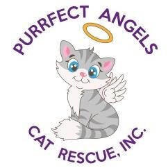 We are an all-volunteer, no-kill, 501(c)(3) cat rescue based in Gloucester County, NJ dedicated to improving the lives of homeless cats in southern New Jersey.