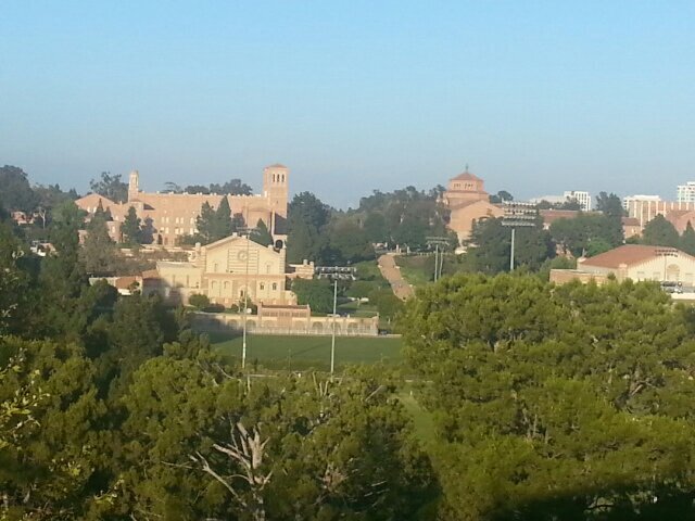 Callie Beitler Profile