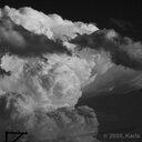 Karla Dorman - @PorchChasing - Twitter