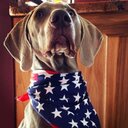 Steve Whittemore - @SJW61486 - Twitter