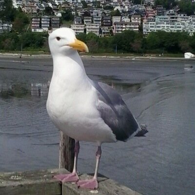 NateWRock's profile picture. Beach Bum