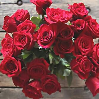 sloea5212's profile picture. ....