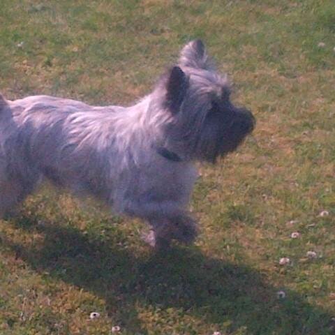 tomdavidbaker's profile picture. 