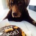 Sage Wonderland (@sagewonderland) Twitter profile photo