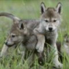 Тебе нужно ознакомиться с этим посылом, чтобы я помог тебе правильно определиться.