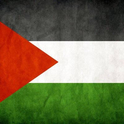 Twitter created: July 10 2014 #freepalestine